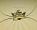 KickassTorrents rikthehet në jetë nga stafi origjinal