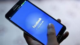 Catfish, vjedhja e identitetit social