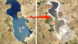 Si ka ndryshuar bota ndër vite