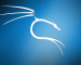 Tani mund të shkarkoni Kali Linux në Microsoft Store Tani mund të shkarkoni Kali Linux në Microsoft Store